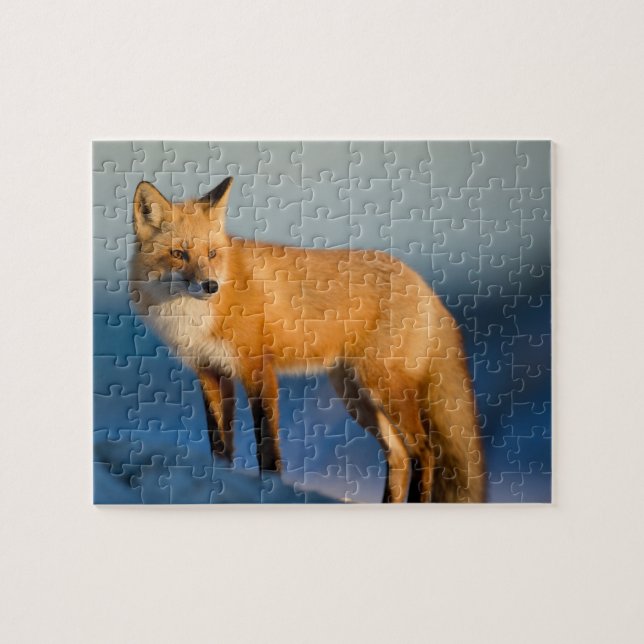 Puzzle Fox Brown (Horizontal)