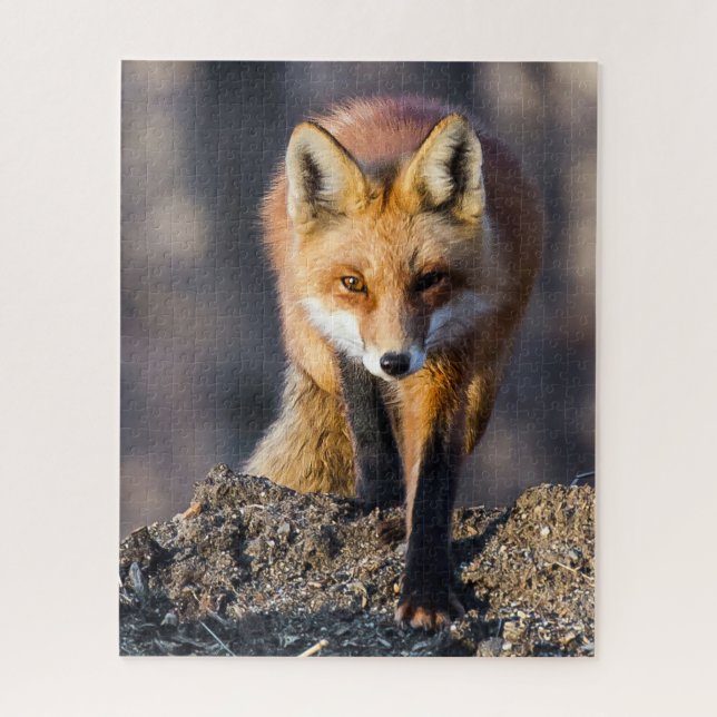 Puzzle Fox furtif (Vertical)