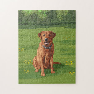 Puzzle Fox Red Yellow Labrador Retriever Chien