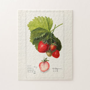 Puzzle Fraises (Fragaria) Aquarelle de fruits Peinture