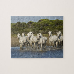 Puzzle France, Camargue. Les chevaux courent à travers l'