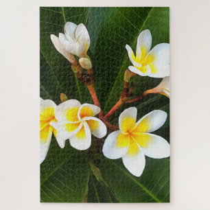 Puzzle Frangipani Blossom Cluster Style Artistique