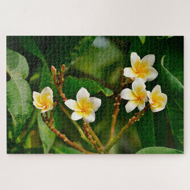 Puzzle Frangipani jaune (Horizontal)