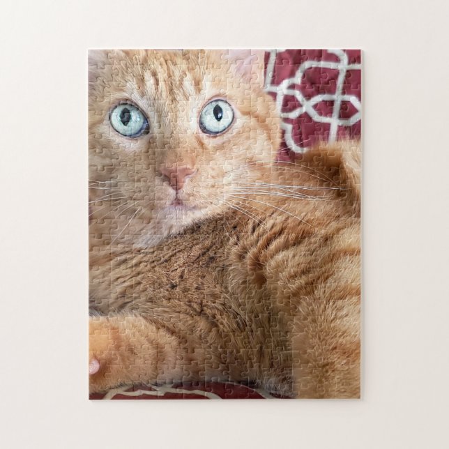 Puzzle Frankie (Vertical)