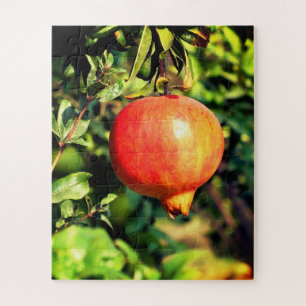 Puzzle Fruit de grenade