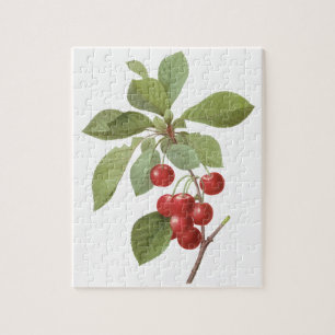 Puzzle Fruit vintage Cherry Food, Cerises par Redoute