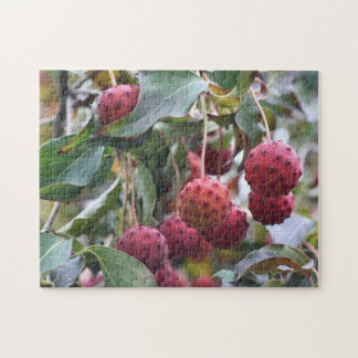Puzzle Fruits de Dogwood Rouge Nature