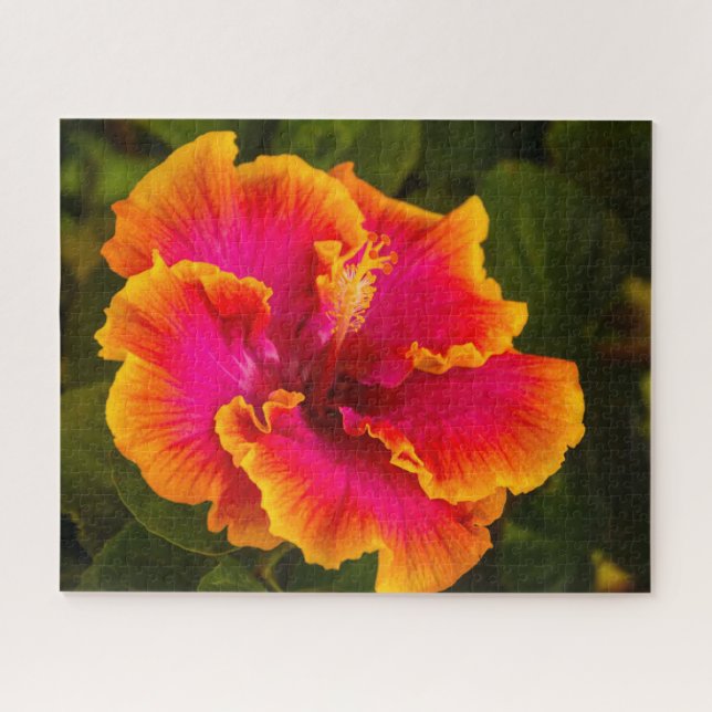 Puzzle Fuchsia hawaïenne et Hibiscus orangés de Kauai (Horizontal)