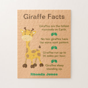 Puzzle Fun Giraffe Faits