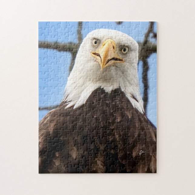 Puzzle Funny Bald Eagle Visage Faune Photographie (Vertical)
