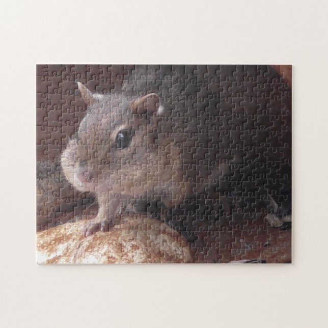 Puzzle Funny Chipmunk avec de la nourriture dans Cheeks a (Horizontal)