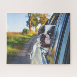 Puzzle Funny Happy French Bulldog - Fenêtre de voiture de