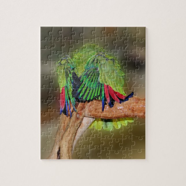 Puzzle Funny Jaune Napa Amazon Parrot (Vertical)