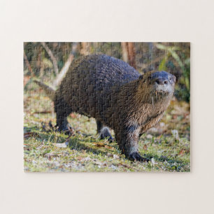 Puzzle Funny River Otter hors de Water Stanley Park Lagoo