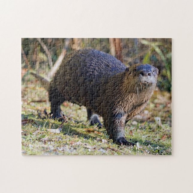 Puzzle Funny River Otter hors de Water Stanley Park Lagoo (Horizontal)