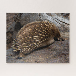 Puzzle Furry Spiky Echidna Animal Wildlife, 520 pièces