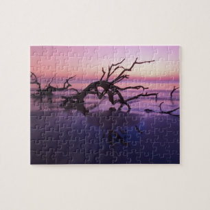 Puzzle GA Jekyll Island, Cimetière d'arbres sur la plage