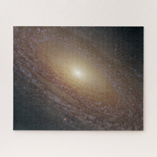 Puzzle Galaxie Spirale Ngc 2841