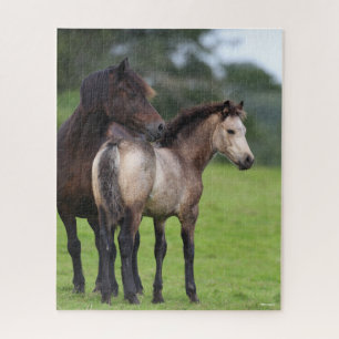 Puzzle Gallois Section D Mare et pied de poulain