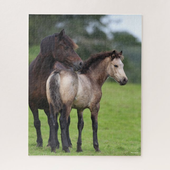 Puzzle Gallois Section D Mare et pied de poulain (Vertical)