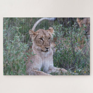 Puzzle Gardien de la fierté – Lionne au repos