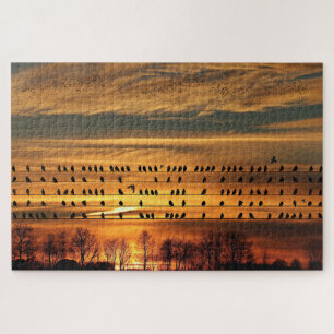 Puzzle  Gathering of Starlings 
