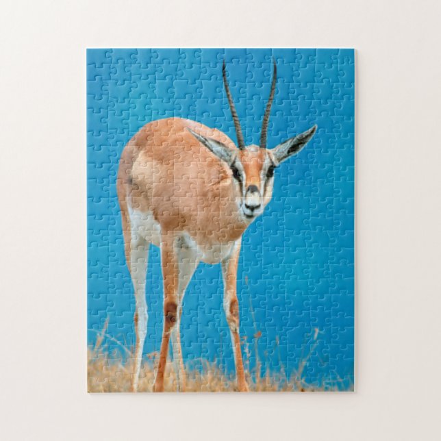 Puzzle Gazelle de Grant (Gazella Granti) Ewe Portrait (Vertical)