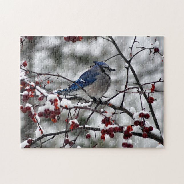 Puzzle Geai bleu d'hiver (Horizontal)
