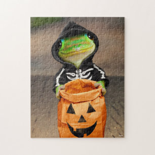 Puzzle Gecko Skeleton