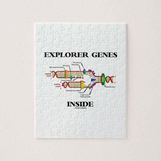 Puzzle Gènes de l'Explorateur à l'intérieur (réplication  (Vertical)
