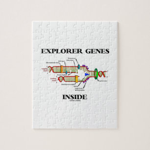 Puzzle Gènes d'explorateur à l'intérieur (réplication