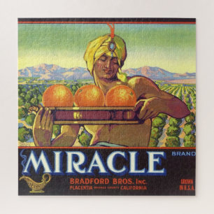 Puzzle Génie Miracle Illustré 20x20