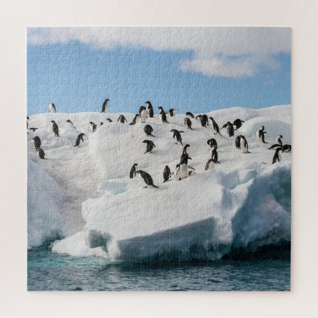Puzzle Gentoo Penguin Antarctica Iceberg Playtime (Vertical)