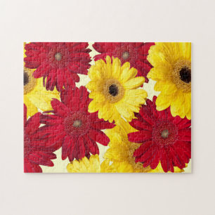 Puzzle Gerber Daisy rouge et jaune