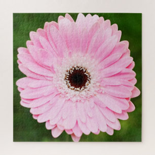 Puzzle Gerbera rose clair marguerite florale