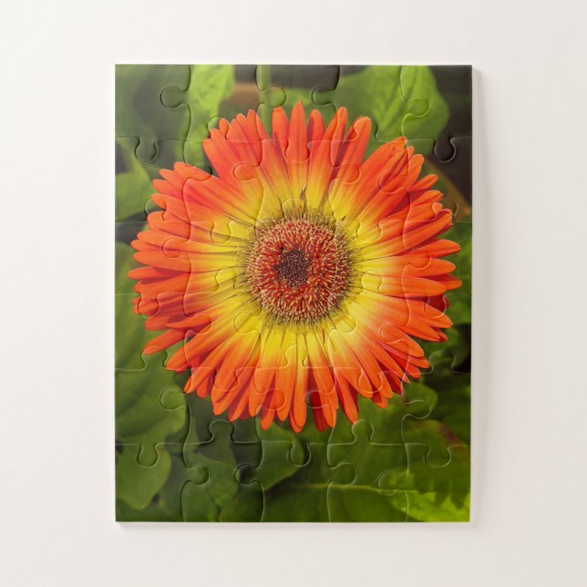 Puzzle Gerbera Sunburst | Hommage à Alzheimer (Vertical)