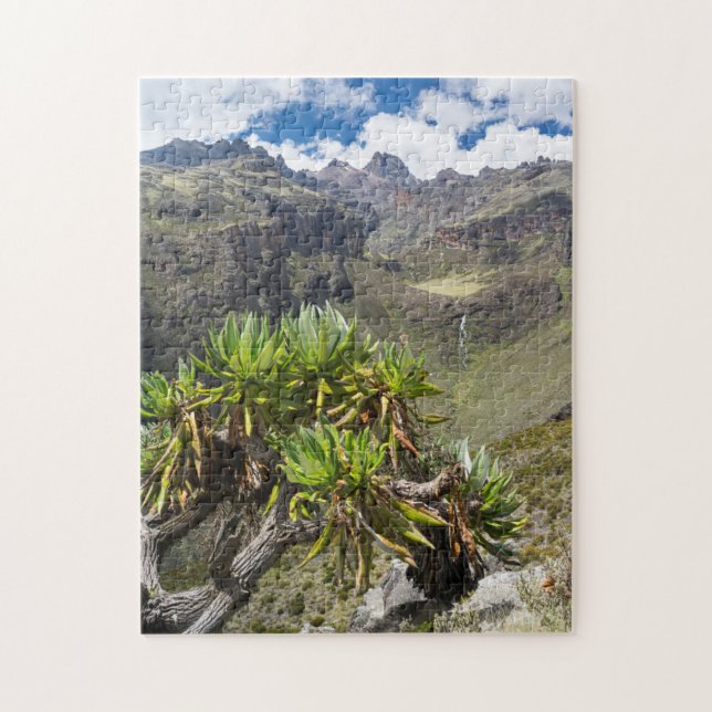 Puzzle Giant Groundsel ou Dendrosenecio (Vertical)