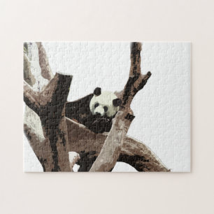 Puzzle Giant panda in a wild animal zoo photography.