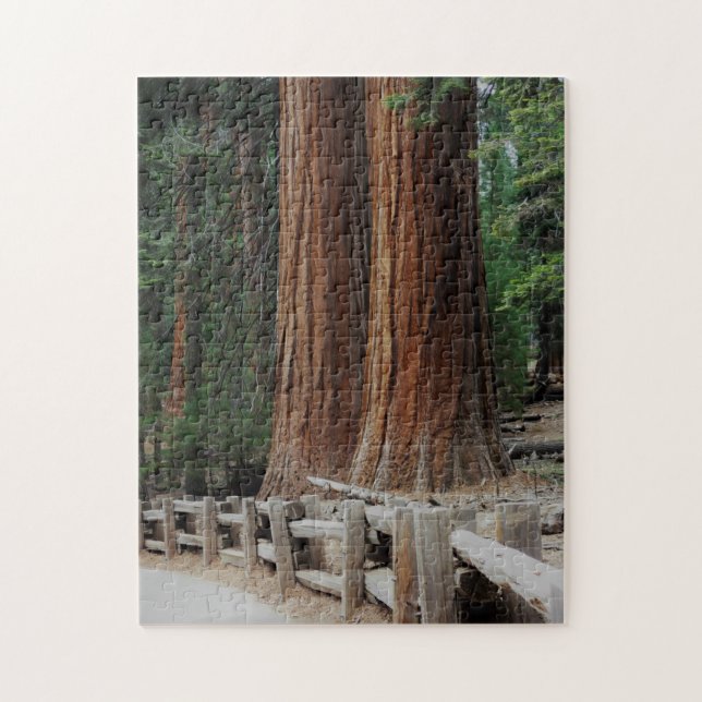 Puzzle Giant Trees at Sequoia/Kings Canyon National Park (Vertical)