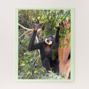 Puzzle Gibbon