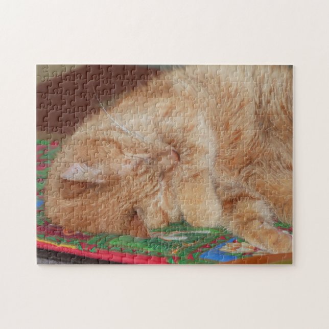 Puzzle Gingembre dormant doux garçon (Horizontal)
