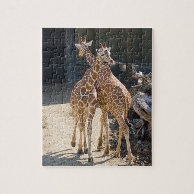 Puzzle girafes (Vertical)