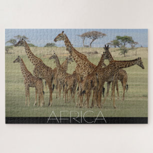 Puzzle girafes africaines