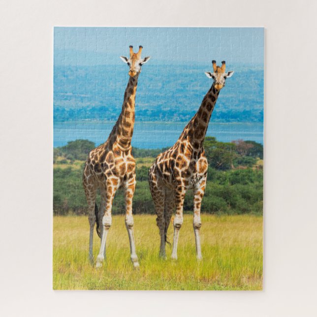 Puzzle Girafes dans la savane, Ouganda (Vertical)