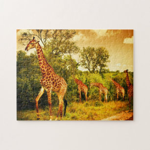 Puzzle girafes sud-africaines