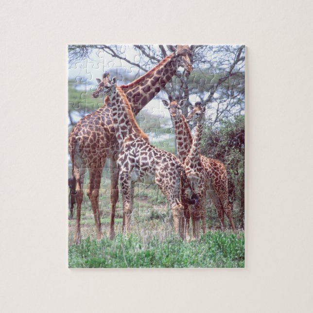 Puzzle Giraffa Group ou Herd avec Young, Giraffa (Vertical)