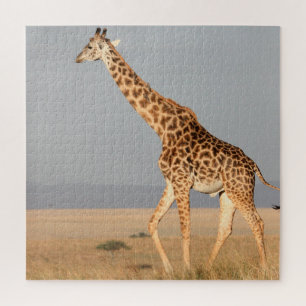 Puzzle Giraffe