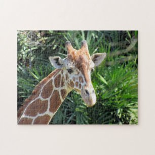 Puzzle Giraffe