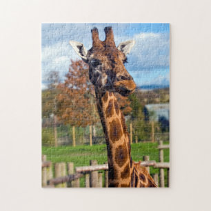 Puzzle Giraffe