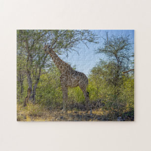 Puzzle Giraffe in Natural Habitat, Africa